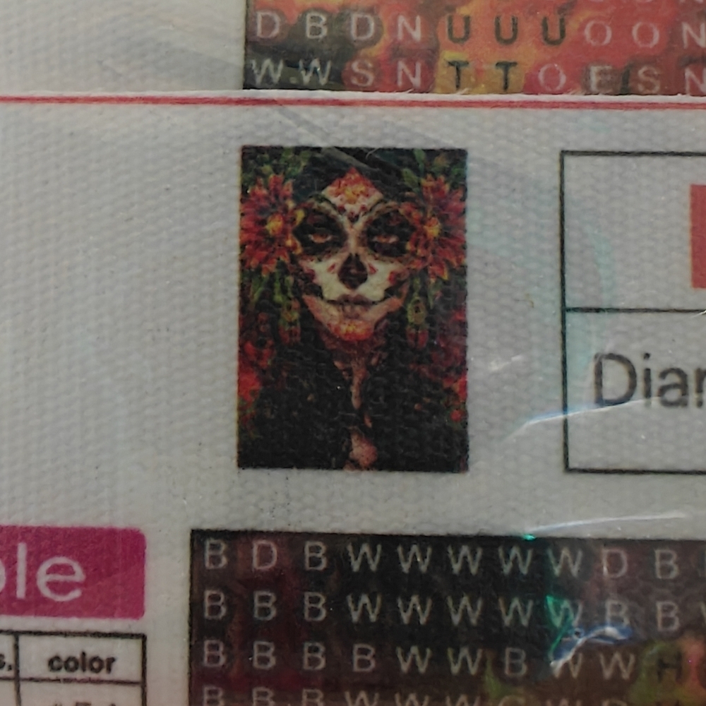 NWT SUGAR SKULL DIAMOND PAINTING